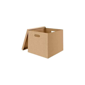 Carton Archive Box - Brown - 1 Pcs