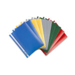 Sasco Plastic File - A4 - Assorted Colors