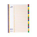 Digital Colored Dividers - 20 Dividers - 1 Pcs